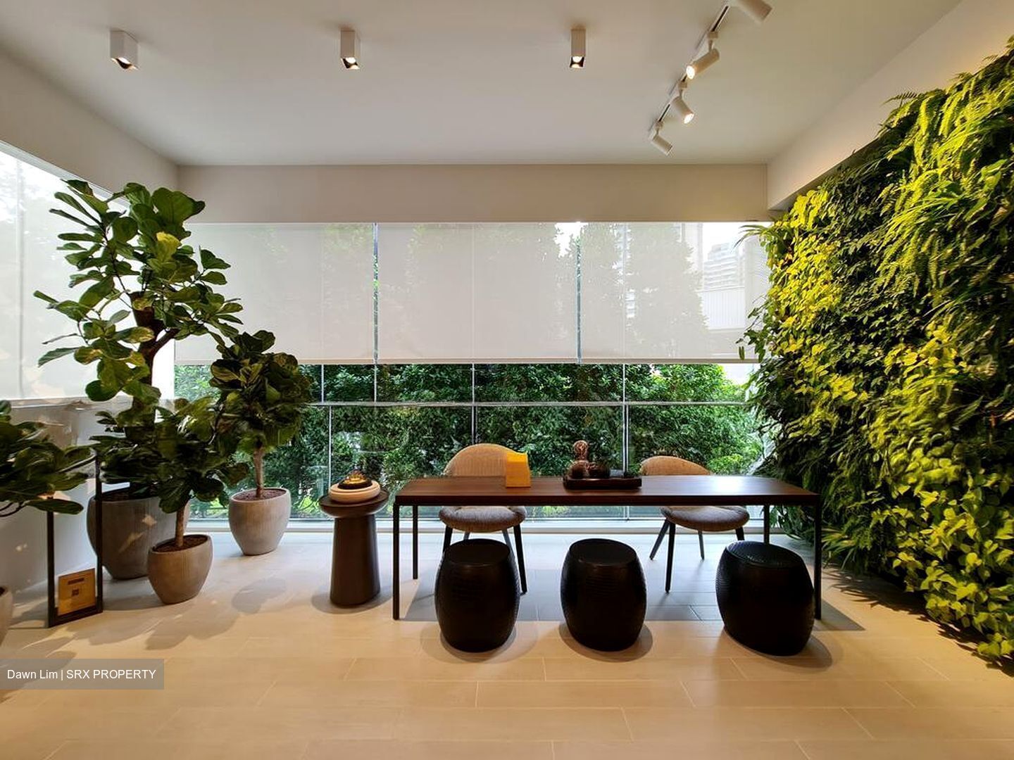 Klimt Cairnhill (D9), Apartment #522553911